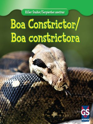 cover image of Boa Constrictor / Boa constrictora
